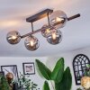 Chehalis Lampa sufitowa, Kula świetlna Przydymiony, 5-punktowe