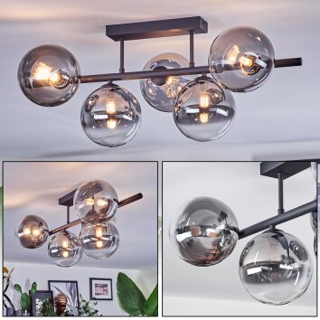 Chehalis Lampa sufitowa, Kula świetlna Przezroczysty, Przydymiony, 5-punktowe