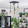 Ripoll lampa sufitowa, kula świetlna bursztynowy, przezroczysty, 5-punktowe