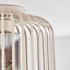 Molan Lampa sufitowa Kolory piaskowe, 1-punktowy