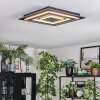 Lidor Lampa sufitowa LED Czarny, 1-punktowy