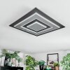 Lidor Lampa sufitowa LED Czarny, 1-punktowy