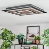 Lidor Lampa sufitowa LED Czarny, 1-punktowy