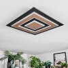 Lidor Lampa sufitowa LED Czarny, 1-punktowy