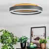 Guine Lampa sufitowa LED Złoty, Czarny, 1-punktowy