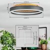 Guine Lampa sufitowa LED Złoty, Czarny, 1-punktowy
