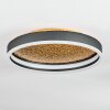 Guine Lampa sufitowa LED Złoty, Czarny, 1-punktowy