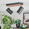 Orlan Lampa sufitowa, Spot sufitowy Chrom, Ecru, Czarny, 2-punktowe