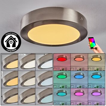 Omaro Lampa sufitowa, Panel LED Nikiel matowy, 1-punktowy