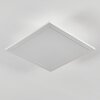 Omaro Lampa sufitowa, Panel LED Biały, 1-punktowy, Zmieniacz kolorów