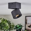 Narel Lampa sufitowa, Spot sufitowy LED Czarny, 1-punktowy