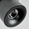 Narel Lampa sufitowa, Spot sufitowy LED Czarny, 1-punktowy