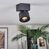Narel Lampa sufitowa, Spot sufitowy LED Czarny, 1-punktowy
