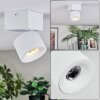 Narel Lampa sufitowa, Spot sufitowy LED Biały, 1-punktowy