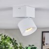 Narel Lampa sufitowa, Spot sufitowy LED Biały, 1-punktowy