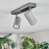 Javel Lampa sufitowa, Spot sufitowy Chrom, Szary, 2-punktowe