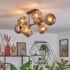 Ripoll Lampa sufitowa, Kula świetlna Przydymiony, 8-punktowe