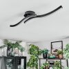 Arlan Lampa sufitowa LED Czarny, 1-punktowy