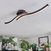 Arlan Lampa sufitowa LED Czarny, 1-punktowy