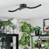 Arlan Lampa sufitowa LED Czarny, 1-punktowy