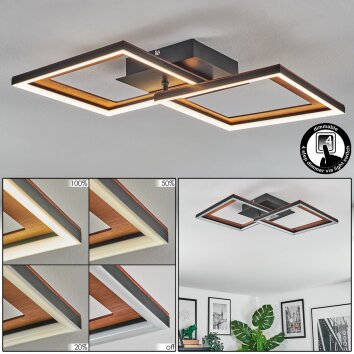 Binor lampa sufitowa LED kolory naturalne, czarny, 1-punktowy