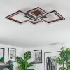 Binor Lampa sufitowa LED Ecru, Czarny, 1-punktowy