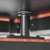 Binor Lampa sufitowa LED Ecru, Czarny, 1-punktowy