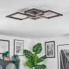 Binor Lampa sufitowa LED Ecru, Czarny, 1-punktowy