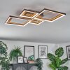 Binor Lampa sufitowa LED Ecru, Czarny, 1-punktowy