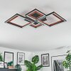 Binor Lampa sufitowa LED Ecru, Czarny, 1-punktowy