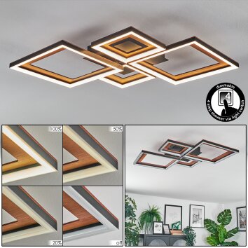 Binor Lampa sufitowa LED Ecru, Czarny, 1-punktowy