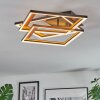Binor Lampa sufitowa LED Ecru, Czarny, 1-punktowy