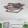 Binor Lampa sufitowa LED Ecru, Czarny, 1-punktowy