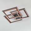 Binor Lampa sufitowa LED Ecru, Czarny, 1-punktowy