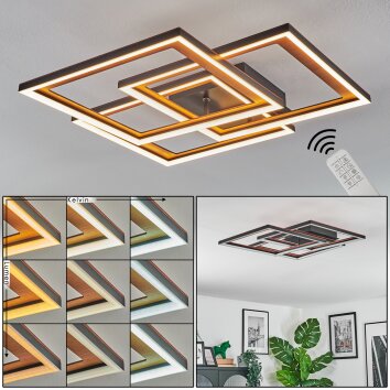Binor lampa sufitowa LED kolory naturalne, czarny, 1-punktowy