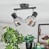 Saire Lampa sufitowa, Spot sufitowy Chrom, Czarny, 2-punktowe