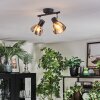 Saire Lampa sufitowa, Spot sufitowy Chrom, Czarny, 2-punktowe