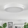 Omaro Lampa sufitowa, Panel LED Biały, 1-punktowy, Zmieniacz kolorów