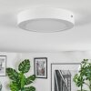 Omaro Lampa sufitowa, Panel LED Biały, 1-punktowy, Zmieniacz kolorów