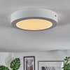 Omaro Lampa sufitowa, Panel LED Biały, 1-punktowy, Zmieniacz kolorów