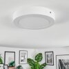 Omaro Lampa sufitowa, Panel LED Biały, 1-punktowy, Zmieniacz kolorów