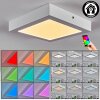 Omaro Lampa sufitowa, Panel LED Biały, 1-punktowy