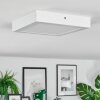 Omaro Lampa sufitowa, Panel LED Biały, 1-punktowy