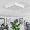 Omaro Lampa sufitowa, Panel LED Biały, 1-punktowy