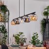 Koyoto Lampa wisząca, Kula świetlna, Lampa wisząca W kolorze bursztynu, Chrom, Przezroczysty, Przydymiony, 5-punktowe Koyoto Lampa wisząca, Kula świetlna, Lampa wisząca W kolorze bursztynu, Chrom, Przezroczysty, Przydymiony, 5-punktowe