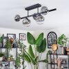 Chehalis Lampa sufitowa, Kula świetlna Przezroczysty, Przydymiony, 5-punktowe
