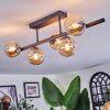 Chehalis lampa sufitowa, kula świetlna bursztynowy, 5-punktowe