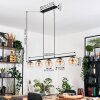Koyoto lampa wisząca, kula świetlna, lampa wisząca bursztynowy, przezroczysty, 5-punktowe