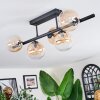 Chehalis lampa sufitowa, kula świetlna bursztynowy, przezroczysty, 5-punktowe