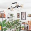 Koyoto lampa sufitowa, kula świetlna bursztynowy, przezroczysty, przydymiony, 8-punktowe
